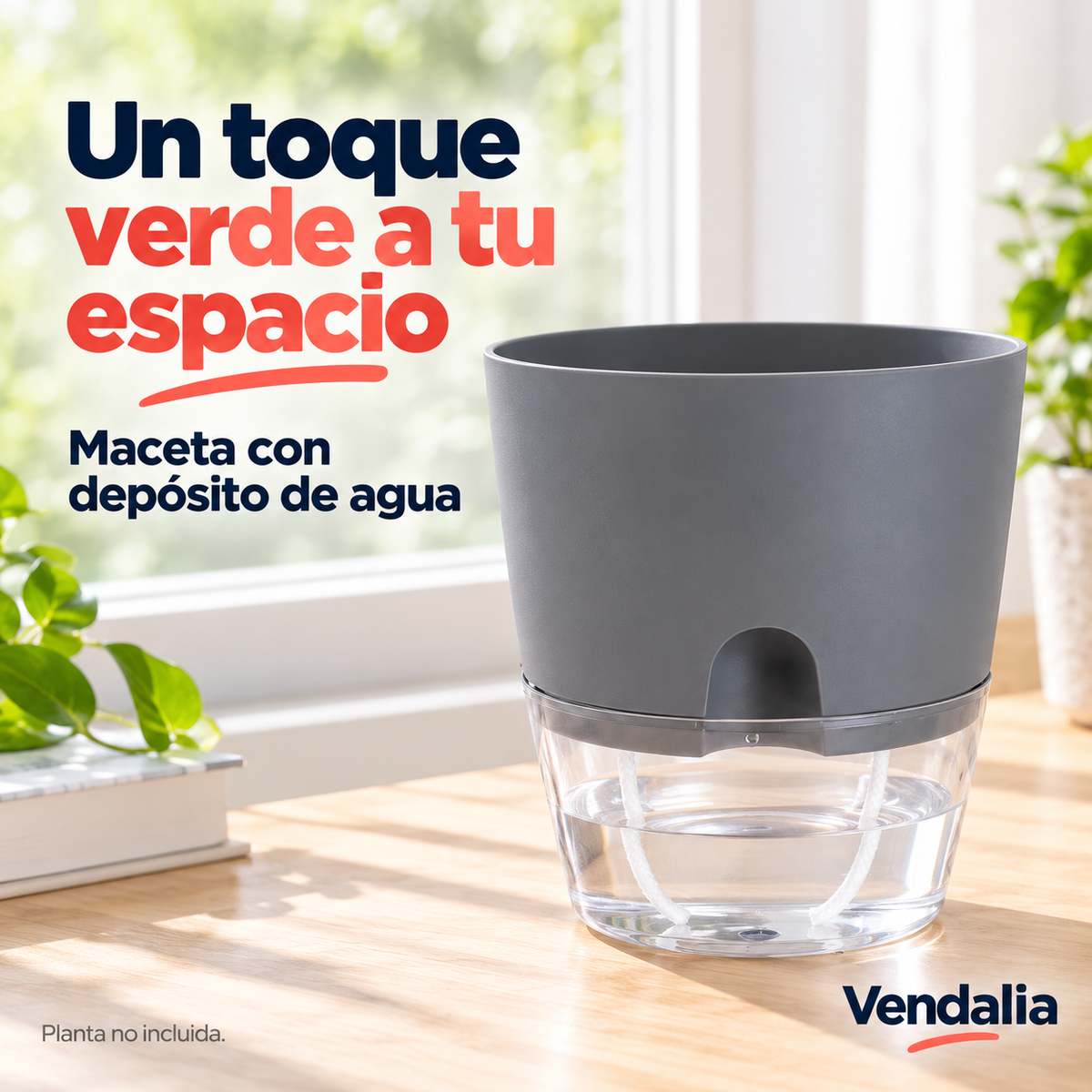Maceta gris con base transparente y autorriego — portada Vendalia