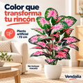 Planta artificial de hojas rosadas — portada Vendalia