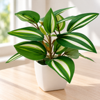 Planta decorativa · vista de detalle · SKU 52788
