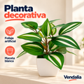 Planta decorativa · presentación Vendalia · SKU 52788