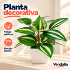 Planta decorativa · presentación Vendalia · SKU 52788