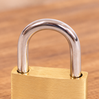 Detalle del arco y cuerpo dorado del candado