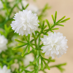 Detalle de Ramillete de Flores Artificiales Silvestres Blancas · Paquete de 20 piezas · SKU 53217