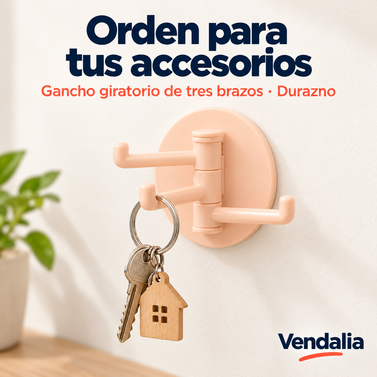 Orden para tus accesorios — portada Vendalia