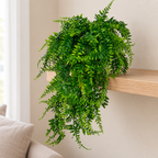 Planta artificial Tipo Helecho · Paquete de 4 piezas · Vista de detalle · SKU 53443