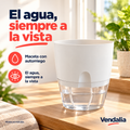 Maceta blanca de autorriego con base transparente — portada Vendalia
