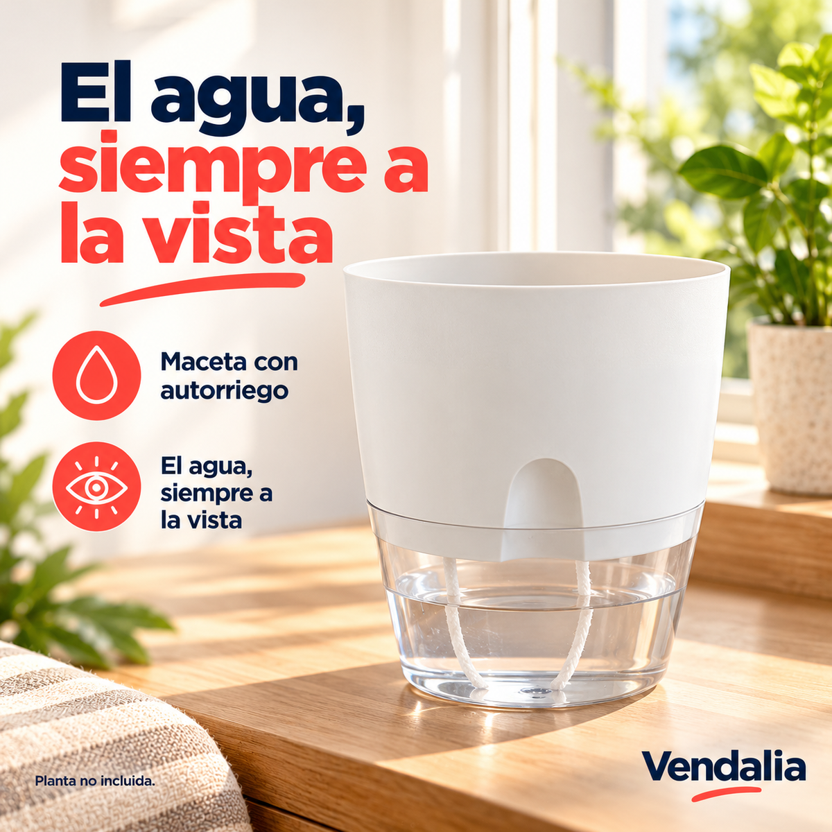 Maceta blanca de autorriego con base transparente — portada Vendalia