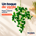 Un toque de verde · presentación Vendalia · SKU 54294